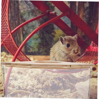 Beavorty Pet Sand Bath Hamster Dust Bath Small Bathtub for Chinchilla Easy Observation