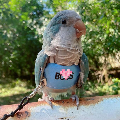 Bird Flight Harness Vest, Parrot Flight Suit with Leash, Bird Flying Clothes with Rope and Handle for Outdoor Activities (M)