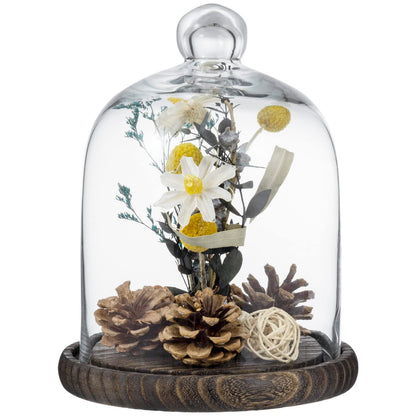 MyGift Clear Cloche Glass Dome,9 Inch Display Bell Jar with Top Handle and Rustic Brown Solid Wood Base
