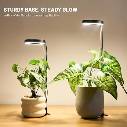LBW Grow Light for Indoor Plants, Full Spectrum Halo Plant Grow Light with Base, Height Adjustable Plant Lamp with Auto Timer 6/8/12/16H, 3 Color,5 Dimmable Level, for Small Plants, Black, 2 Packs