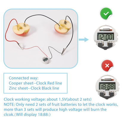 Sntieecr Fruit Battery Science Experiment Kit with Instruction, Potato Science Educational Kit for School Sciences Project, Kids DIY STEM Lab Experiments