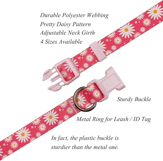 Dog Collar Leash Set, Floral Pattern, Polyester Material, Adjustable Collar and 5ft Matching Leash, for Small Dogs.(S, Daisy)