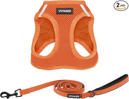 Best Pet Supplies Voyager Step-in Air All Weather Mesh Harness and Reflective Dog 5ft Leash Combo with Neoprene Handle, for Small, Medium and Large Breed Puppies - Orange, Large