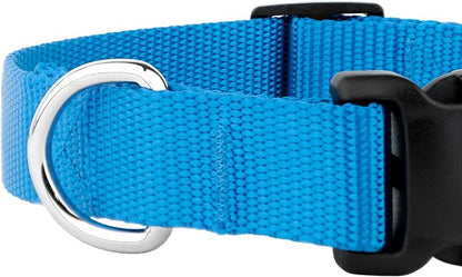 Country Brook Petz - Everyday Nylon Dog Collar and Leash - 10+ Cool Colors (3/8 Inch, 3XS, Ice Blue)