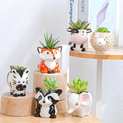 YINUOWEI Cute Succulent Planter, Succulent Pots with Drainage Hole Flower Plant Pot Cartoon Ceramic Tiny Pot for Indoor Mini Flower Planters Cactus Container Set of 6