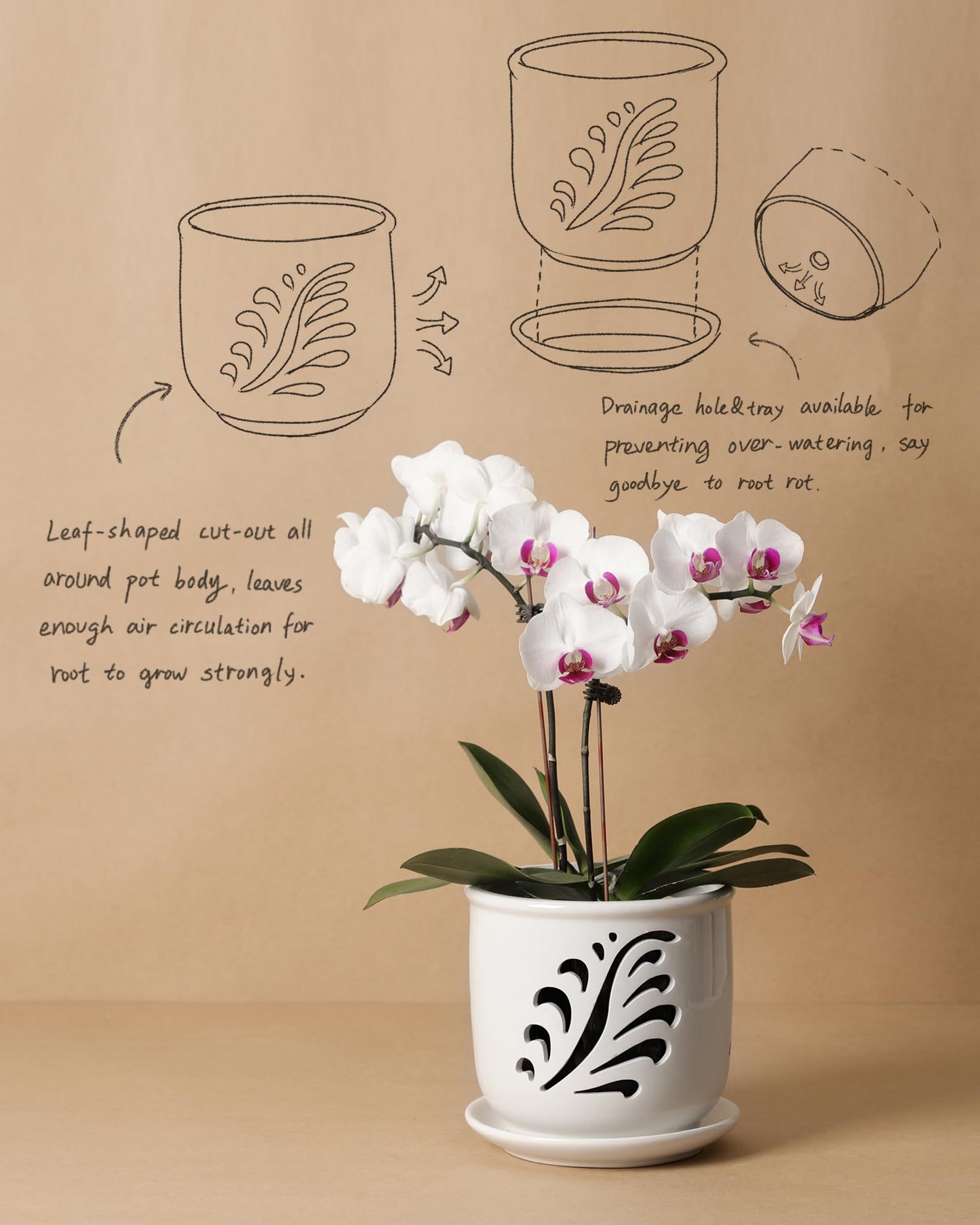 Fayoula Ceramic Orchid Pot, 6 Inch Orchid Pots with Holes and Saucer for Indoor/Outdoor Plants Drainage & Air Circulation, White Orchid Planter for Repotting or New Plants
