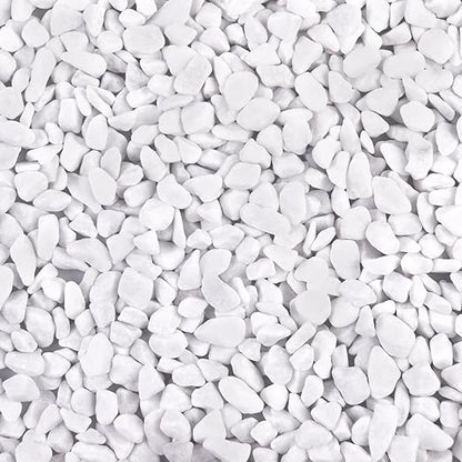 5lb River Rocks Polished Silica Gravel for Plants Garden, Decorative Pebbles Ideal for Fish Tank, Vases, Succulents, Crafting, Home Decor and Garden Landscaping, Snow White(0.2-0.3”)