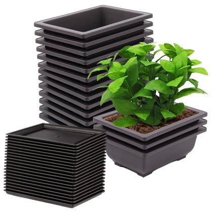 ZEONHEI 15 PCS 6.5 Inch Bonsai Training Pots with Trays, Rectangular Plastic Growing Pots, Flower Succulent Pots Container for Garden, Yard, Office, Porch, Balcony, Home Decoration