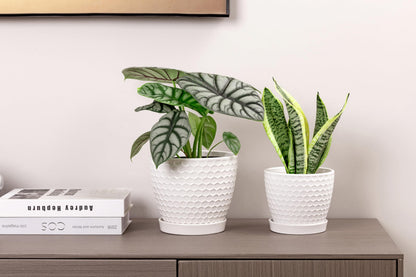 Docrin Ceramic Plant Pots Set of 2 (6.6"+5.5"), High-Fired Clay Indoor Planters with Drainage Holes & Saucer, Honeycomb Modern Home Decor for All House Plants