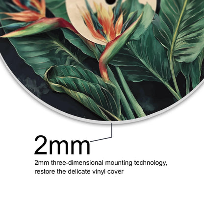 DOODLREAM 4PCS Botanical Vinyl Record Wall Decor 12" Hippy Plant Leaf Wall Art Posters for Room Aesthetic, Mushroom Daisy Flower Retro Record Decor for Music Party Studio Living Room DIY Craft Project