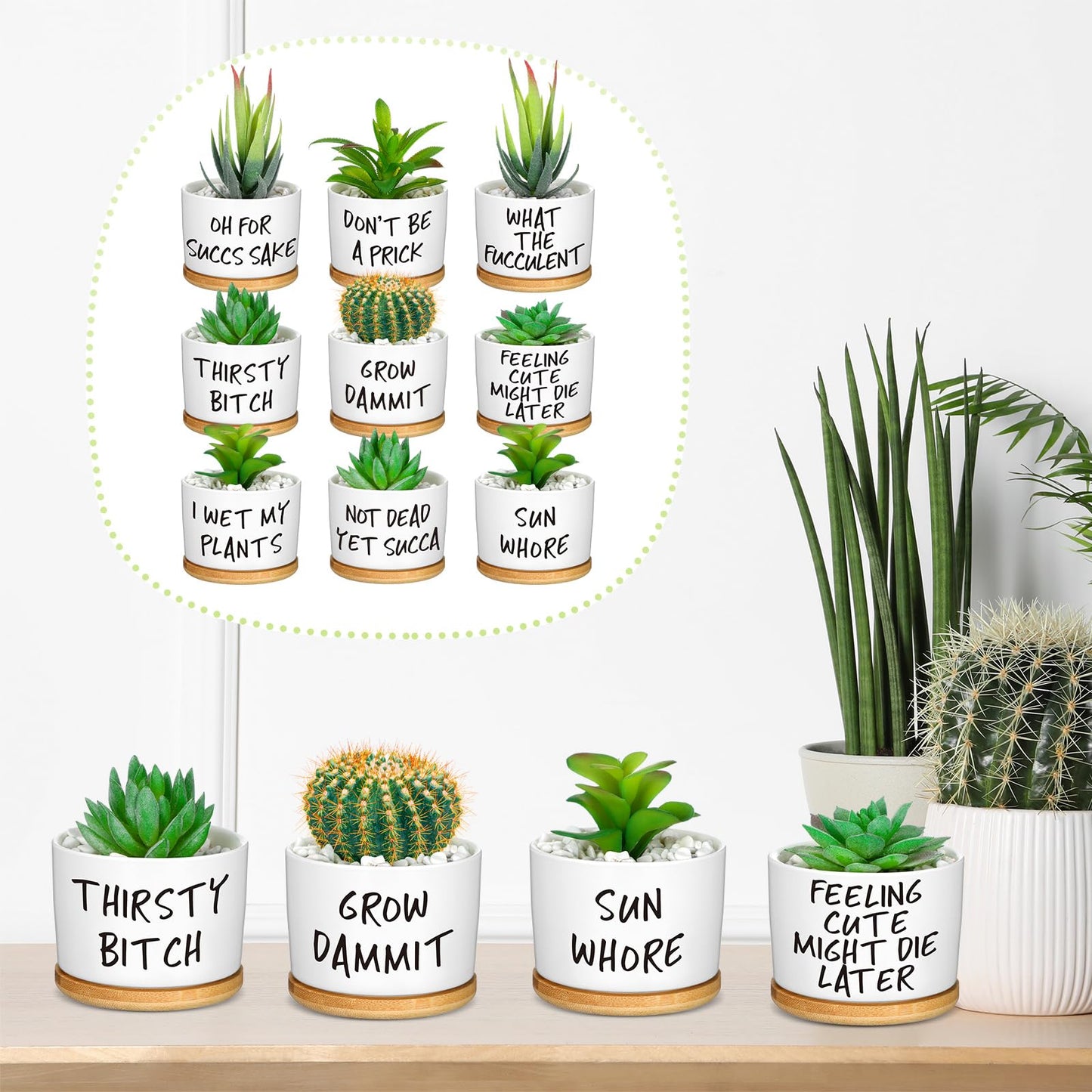 Domensi 9 Pcs Funny Succulent Pots Cute Aloe Cactus Planter with Bamboo Tray Ceramic Accessories White Mini Flower Drainage Tray Pots Indoor Outdoor Plants Birthday Gifts Housewarming Women Coworker