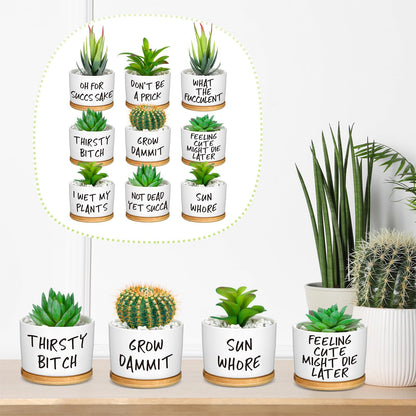 Domensi 9 Pcs Funny Succulent Pots Cute Aloe Cactus Planter with Bamboo Tray Ceramic Accessories White Mini Flower Drainage Tray Pots Indoor Outdoor Plants Birthday Gifts Housewarming Women Coworker