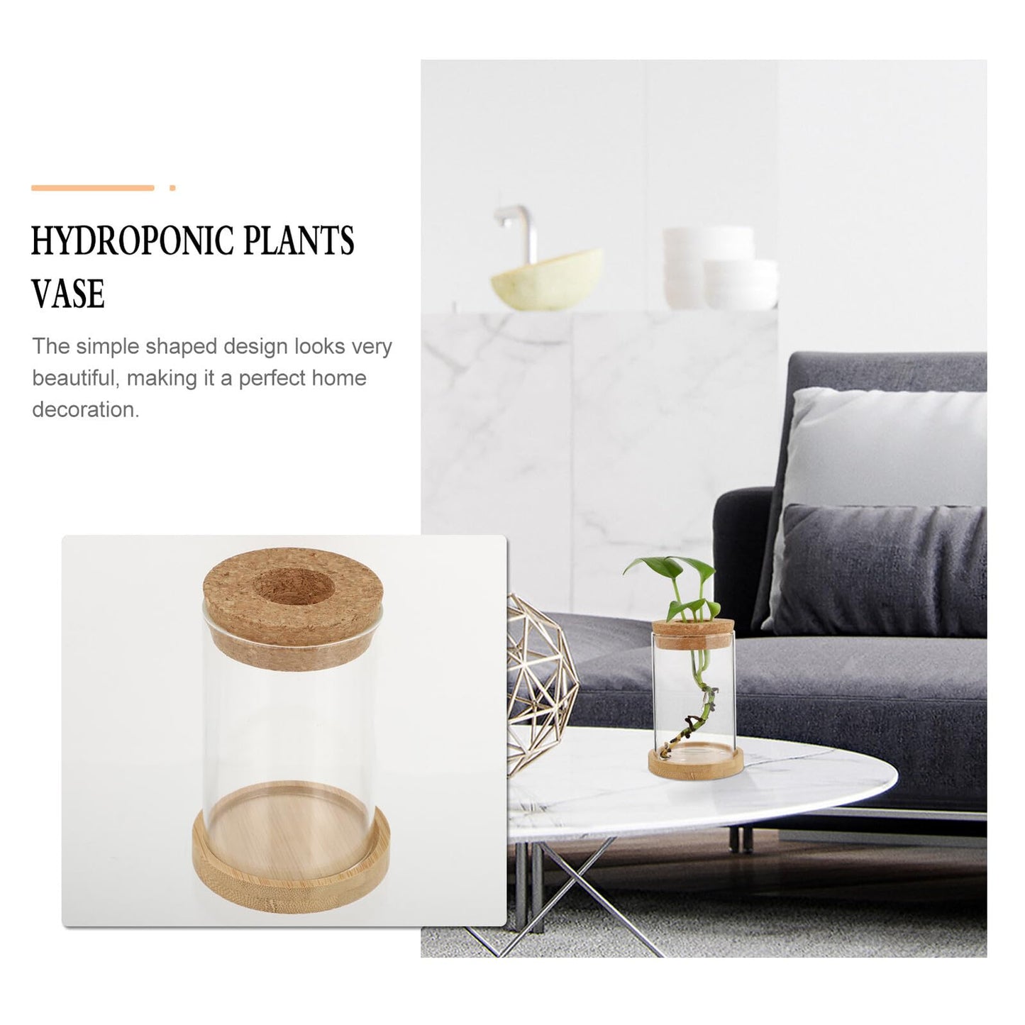 Angoily 2pcs Glass Hydroponic Planter Vase with Stand, 6.5x10cm Desktop Terrarium for Home Garden Decoration and Office Plant Display