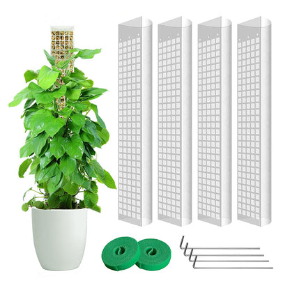 4 Pack 24 Inch D-Shaped Clear Plastic Moss Pole for Plants Monstera, Stackable Climbing Plant Support for Monstera, Pothos, Philodendron, Open Design for Sphagnum Moss