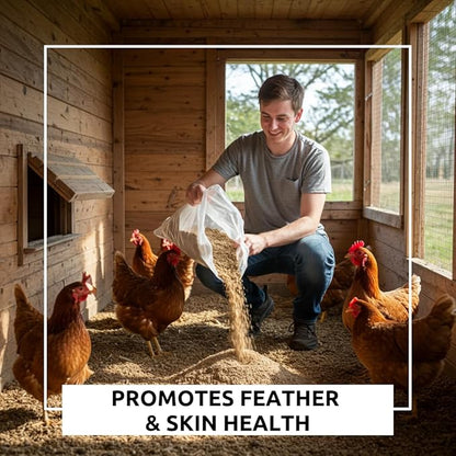 World’s Best Chicken Dust Bath – Natural Wood Ash, Sand & Fine Dust Blend – Safe for All Chickens (12 Ounces)