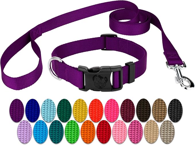 Country Brook Petz - Everyday Nylon Dog Collar and Leash - 10+ Cool Colors (1 Inch, Extra Large, Purple)