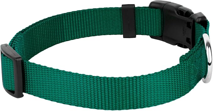 Country Brook Petz - Everyday Nylon Dog Collar and Leash - 10+ Cool Colors (1 Inch, Large, Green)