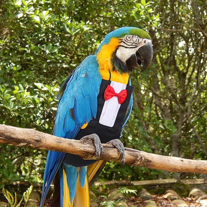 HANABASS Parrot Diaper Flight Suit Lightweight Breathable Washable Reusable Bird Diapers with Bowknot Design Pet Bird Clothes for Cockatiels Conures Budgies Small Birds