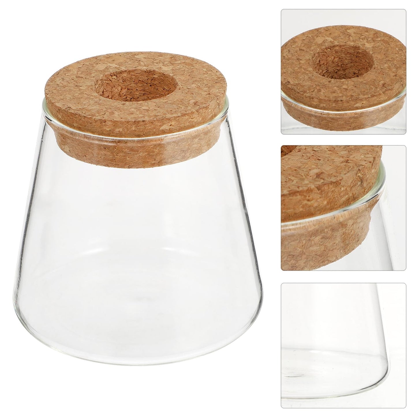 GRIRIW 2pcs Hydroponic Plants Vase Glass Planter Small Desktop Terrarium Container for Water Plant Propagation Home Office Décor