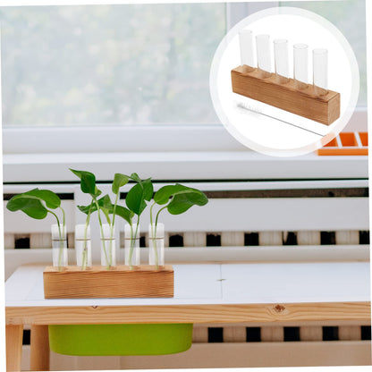 Homoyoyo 1 Set Clear Hydroponic Glass Vase for Decorative Planting - Ideal for Centerpieces - Air Plants and Flower Propagation Elegant Terrarium Planter for Home and Office Decor