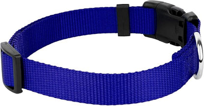 Country Brook Petz - Everyday Nylon Dog Collar and Leash - 10+ Cool Colors (1 Inch, Extra Large, Bright Royal Blue)
