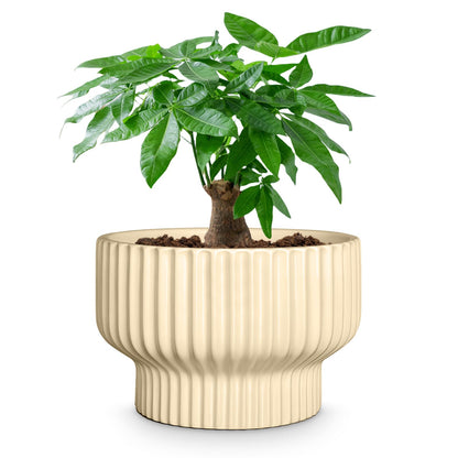 OXART Ceramic Pots for Plants, 7.7 Inch Round Plant Pot with Drainage Hole, Modern Outdoor Flower Pots Home Garden Decorative Planters for House Plants Indoor Planters (Yellow)