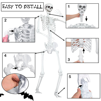 LOSFOTBO 7.9Ft/240cm Giant Skeleton Poseable Skeleton Realistic Full Body Bones for Halloween Decorations