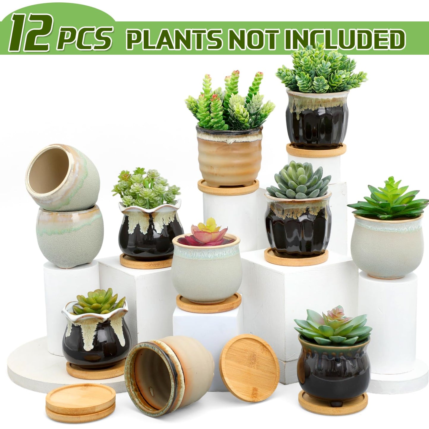 Remerry 6 Pcs Small Succulent Pots Bulk with Drainage Assorted 3.5 Inch Mini Ceramic Succulent Planters Pot with Coaster Bamboo Plant Tray Planting Pots for Home Office Garden