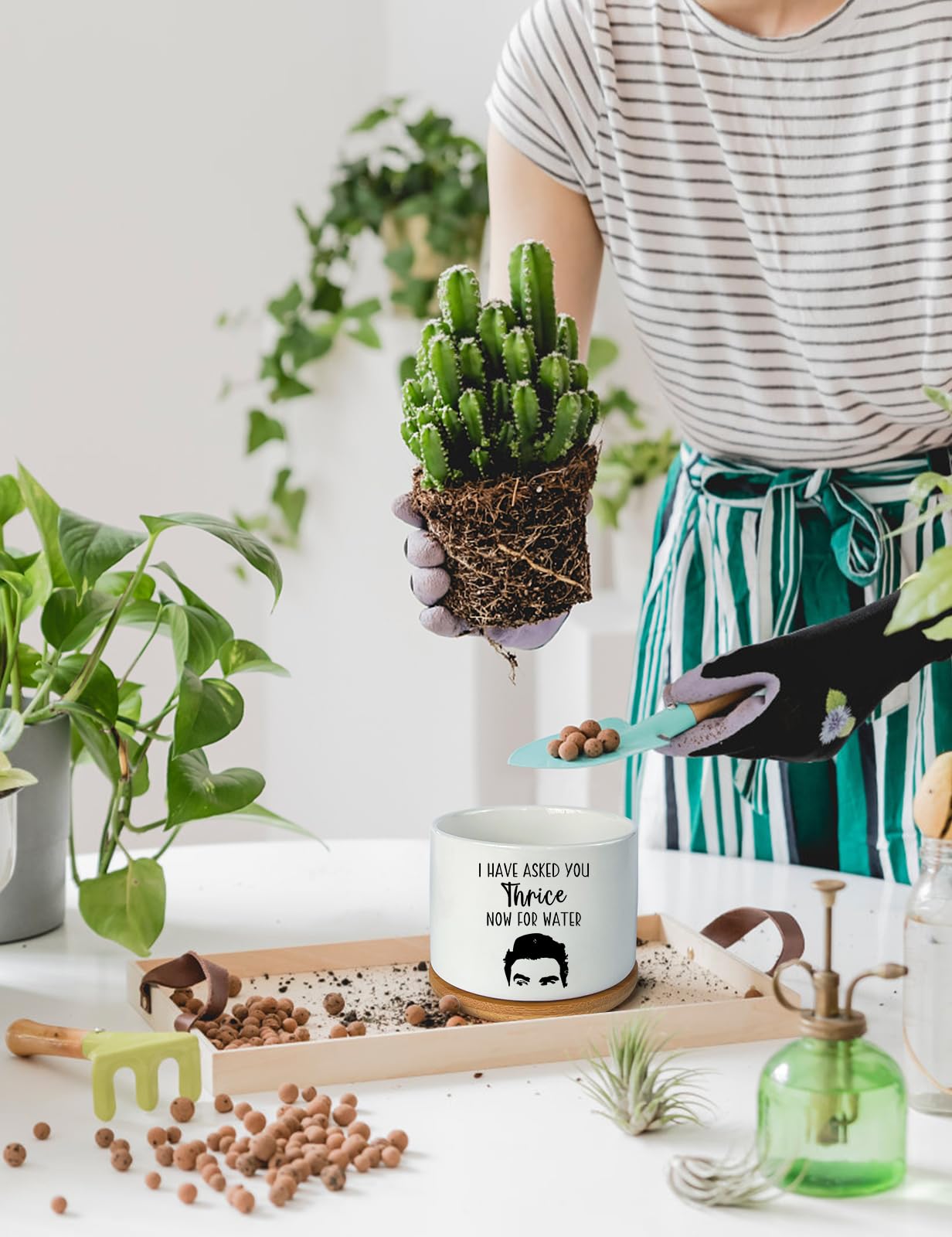PWHINGN I Have Asked You Thrice Now for Water Ceramic Succulent Planter Pot, Funny Plants Pots Schitts Merchandise Gifts, for Women Mom Grandma Plant Lovers Gifts - 3.5 inch(Plant Not Included)