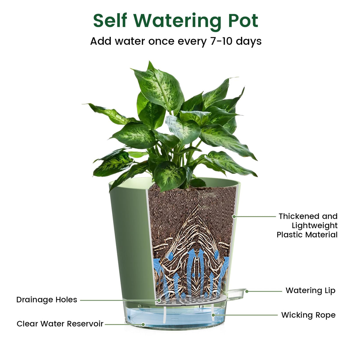 Meowell 8 inch Self Watering Pots for Indoor Outdoor Plants, 2 Pack Flower Plant Pots with Drainage Holes & Clear Reservoir for Visible Water Level, Plastic Wicking Planters for House Plants, Green