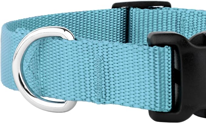 Country Brook Petz - Everyday Nylon Dog Collar and Leash - 10+ Cool Colors (3/4 Inch, Medium, Ocean Blue)