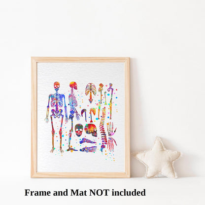 Dignovel Studios 8X10 Unframed Skeletal System Human Skeleton Body Anatomy Medical Medicine Science Watercolor Art Print Poster Wall Nursery Kids Office Home Decor DN574