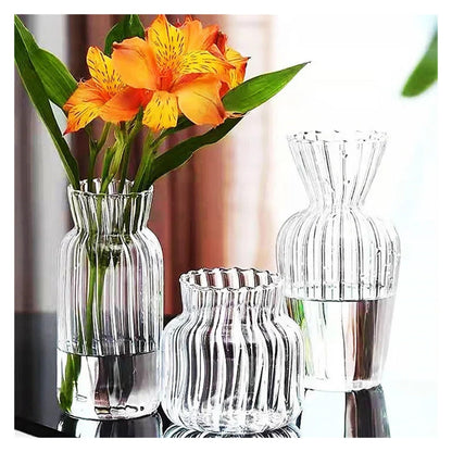 Transparent Hydroponic Vases Container Bottle Plant Arrangement Glass Table Creative Terrarium Flower Pot(6X8.8X7.5CM)