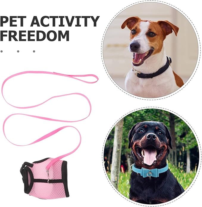 TEHAUX 2pcs Small Pet Harness and Leash Set for Walking Breathable Mesh Vest Adjustable for Rabbits, Guinea Pigs, Puppies, and Kittens Pink and Fruit Green Medium Size for Outdoor