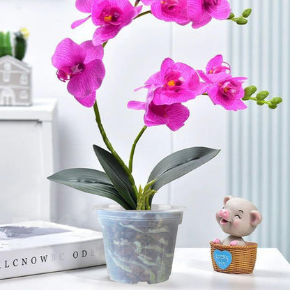 Fellibay 6 Pack Plastic Orchid Pots with Holes, 4 inch Small Plastic Orchid Planters Provide Good Air Circulation,Nursery Pots for Succulents,Herbs,Aloes,Mint