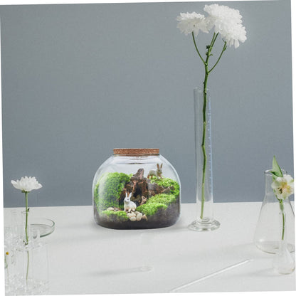 HYTROVE Micro Landscape Bottle Terrarium for Plants Creative DIY Desk Decor Simple Glass Ecological Bottle Lid for Indoor Gardening and Home Decoration