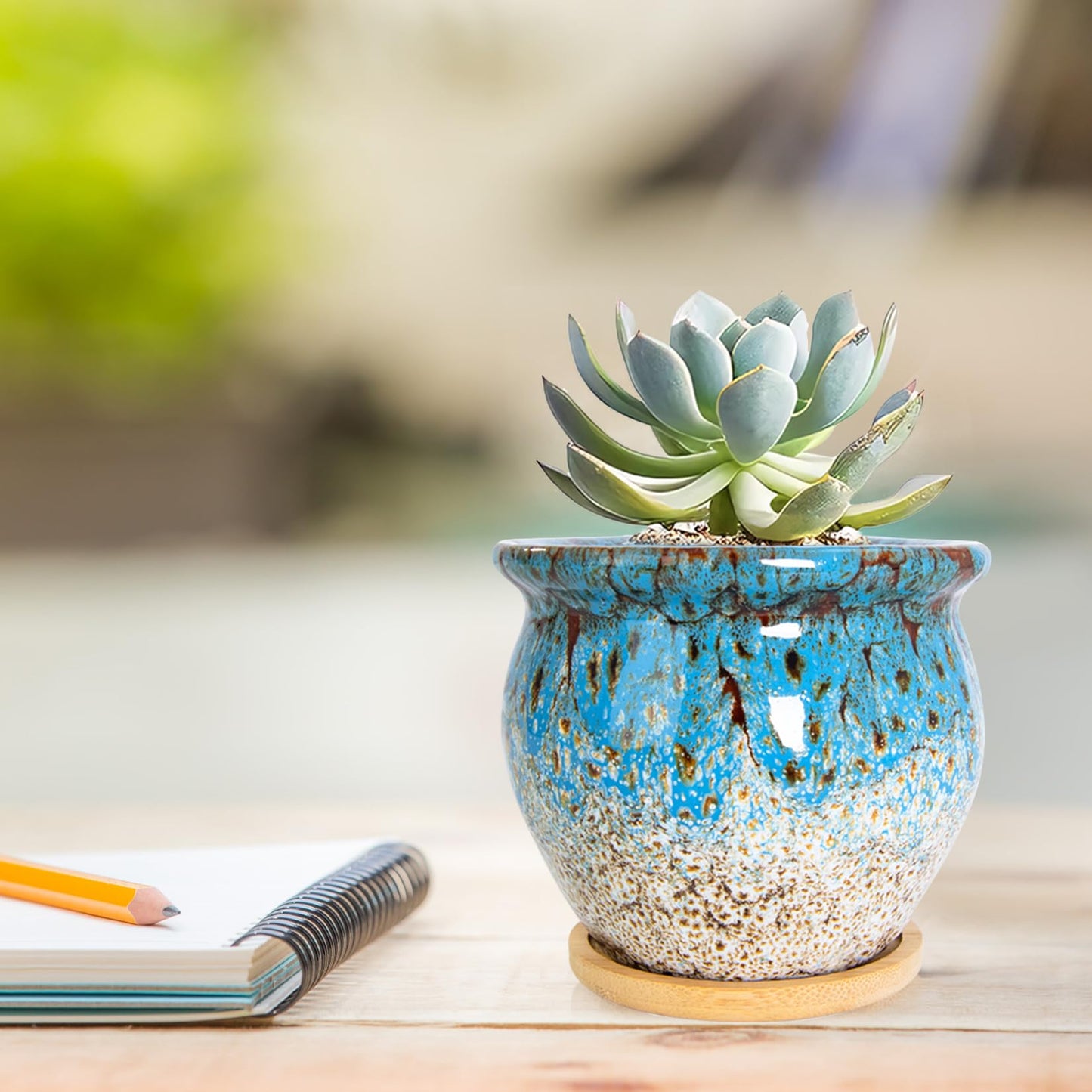 ARTKETTY Succulent Pots - 4 Pack Small Plant Pots with Drainage Tray, Large Ceramic Bonsai Pots Shallow Planters for Indoor Plants Colorful Cactus Flower Planter, Gifts for Women