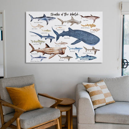 CZOURPVU Types of Shark Poster Shark Educational Chart Poster16x24inch(40x60cm)