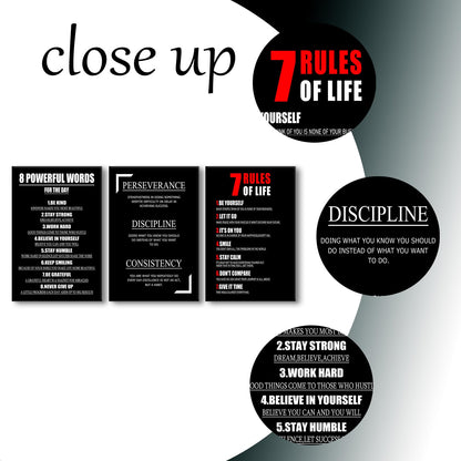 YSPCSUN Triptych Wall Decor Inspirational Posters for Office, Black White Perseverance Discipline Consistency 3 Panel Canvas Prints for Home Office Dorm, 48x24 Inch Display