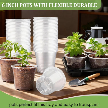 RooTrimmer 30 Pack 6 Inch Clear Nursery Pots and 5 Pack 6 Cell Round Plant Pot Trays, Sturdy Seeds Starting Germination Shuttle Carrying Trays, Planter Nursery Propagation 5 Sets