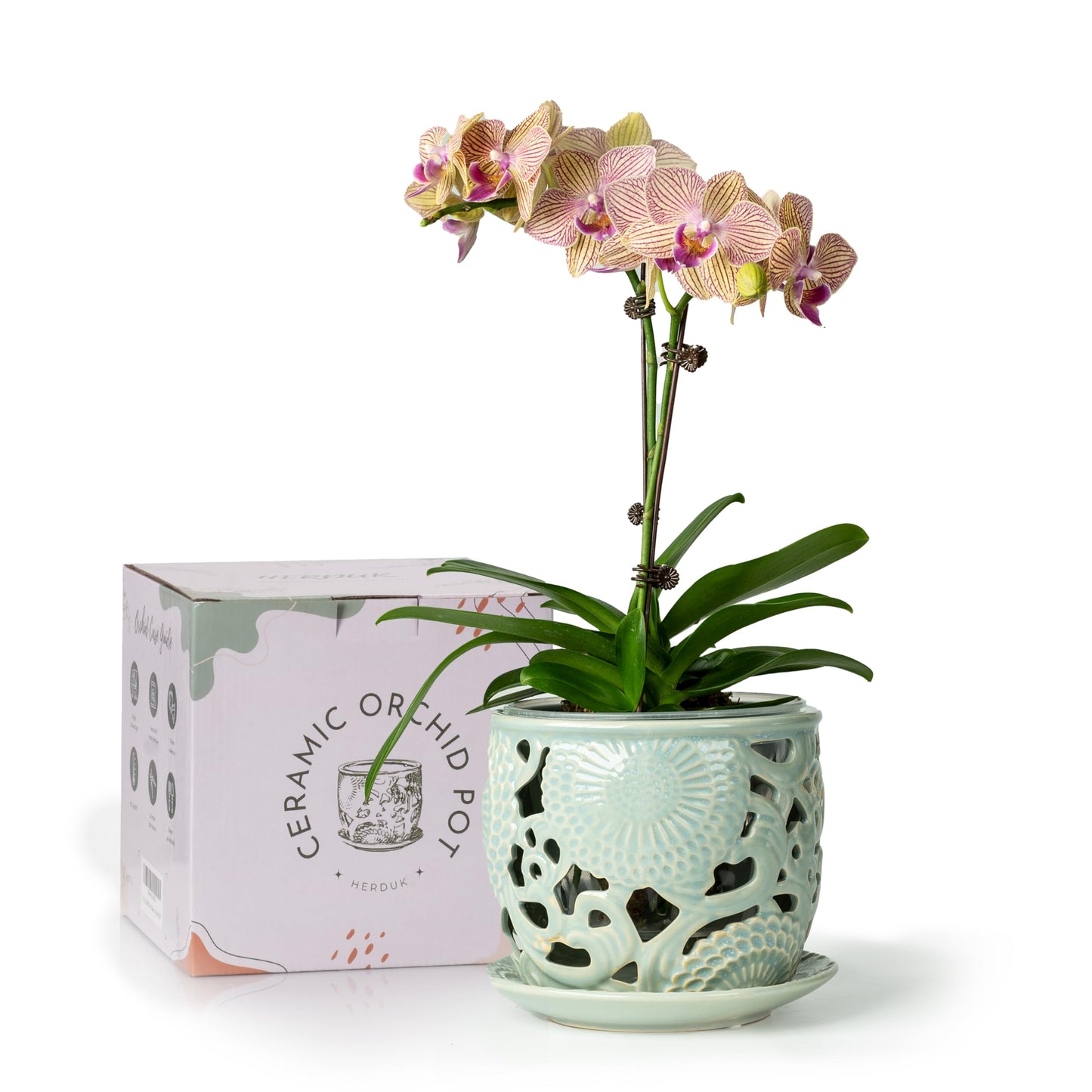 HERDUK Ceramic Orchid Pot, Orchid Pots with Drainage Holes & Saucer 6.5 Inch,Orchid Pot for Repotting Indoor, Orchid Containers with Precise Aeration & Drainage Sky Blue