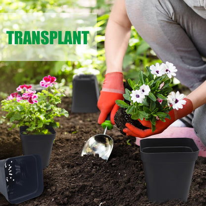 RooTrimmer Square Nursery pots 4 Inches 60Pcs, Seedling Plastic Seeds propogation Growing Pots (Black,4Inches,60Pcs)