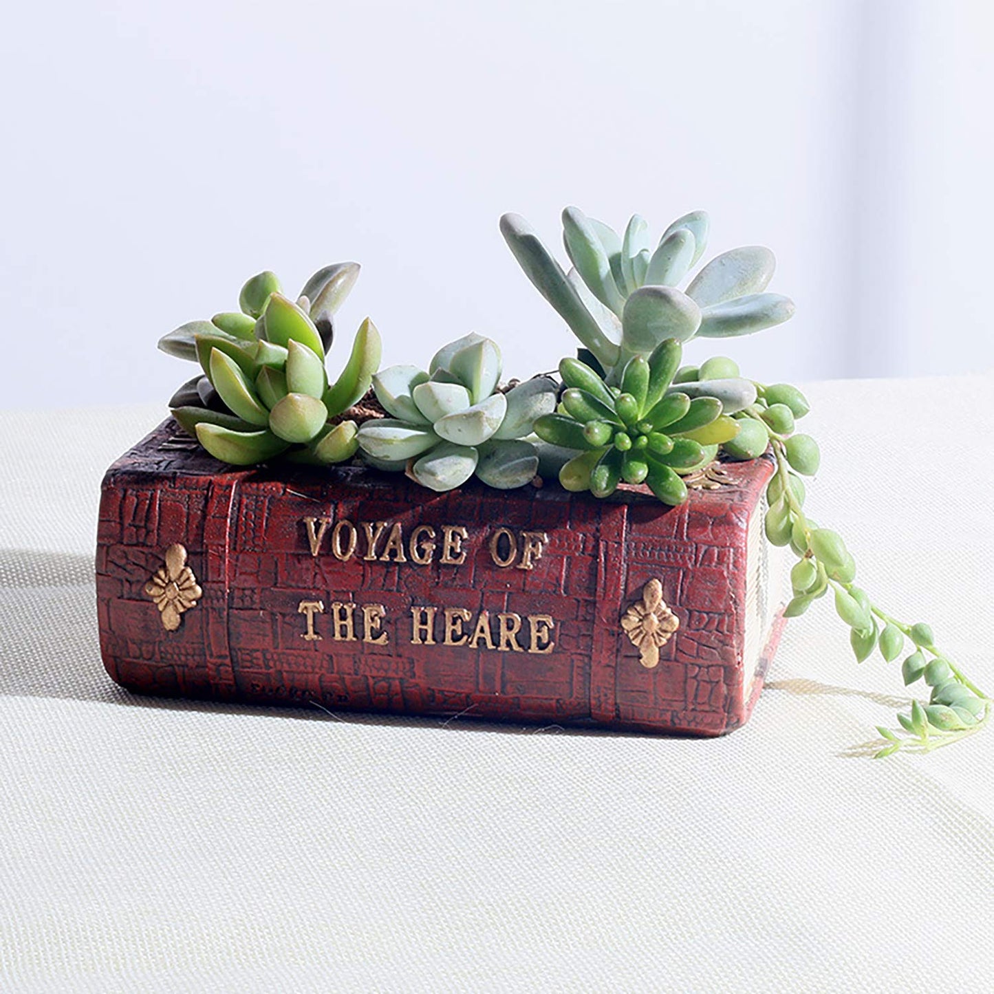 Aygrün Succulent Pots Book Shaped Planter - Cute Resin Flower Pot Bookshelf Decor Creative for Sempervivum with Drainage, Gift for Women, Man, Office, Indoor Plants, Book Lovers, 7.0″x5.0″x2.3″