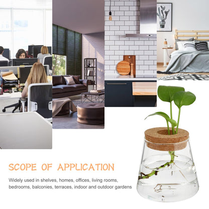 Garneck 2Pcs Desktop Glass Terrarium Transparent Glass Hydroponic Planter Vase Set Micro Landscape Terrarium Container for Home and Office Decor
