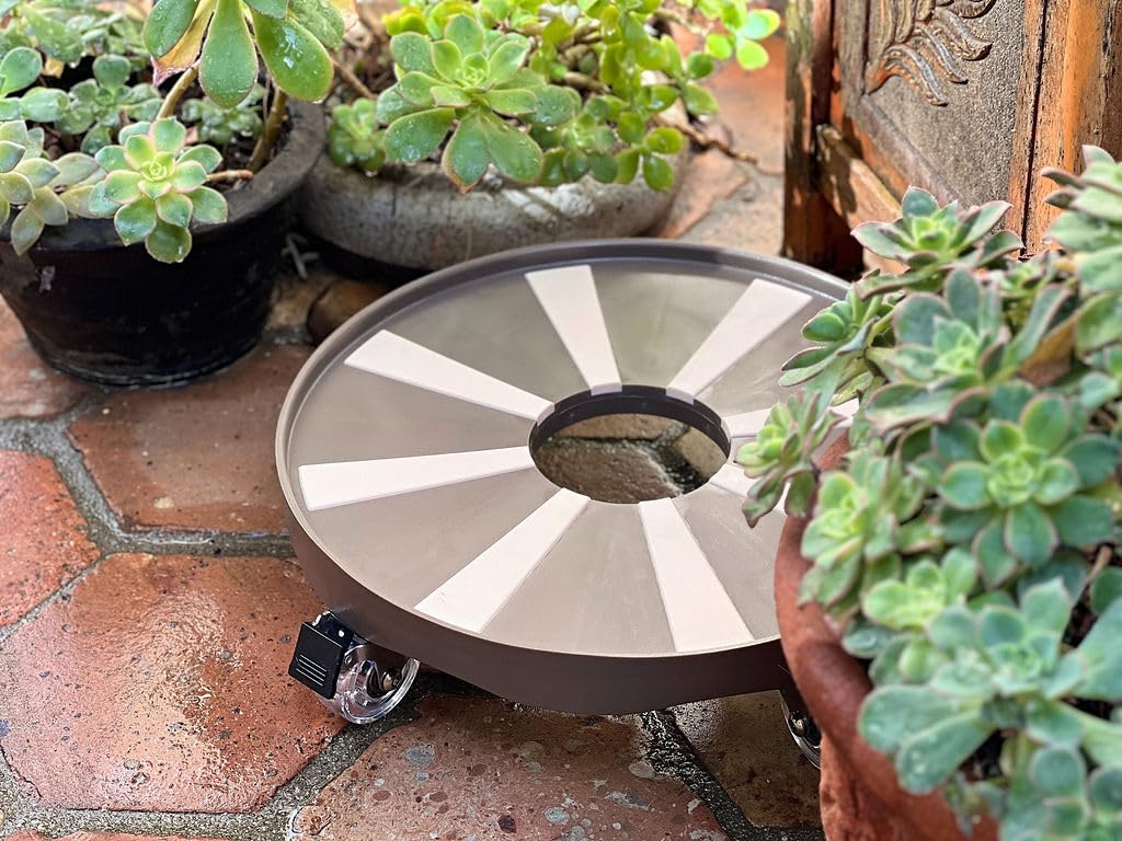 ROLLY GREENS™ Plant Caddy, 12”, Engineering Grade Plastic, Urethane Wheels with Locking Mechanism, 250 lb. Load Capacity, Anti-Skid Surface, for Indoor/Outdoor use. (2, Brown-Ocean)