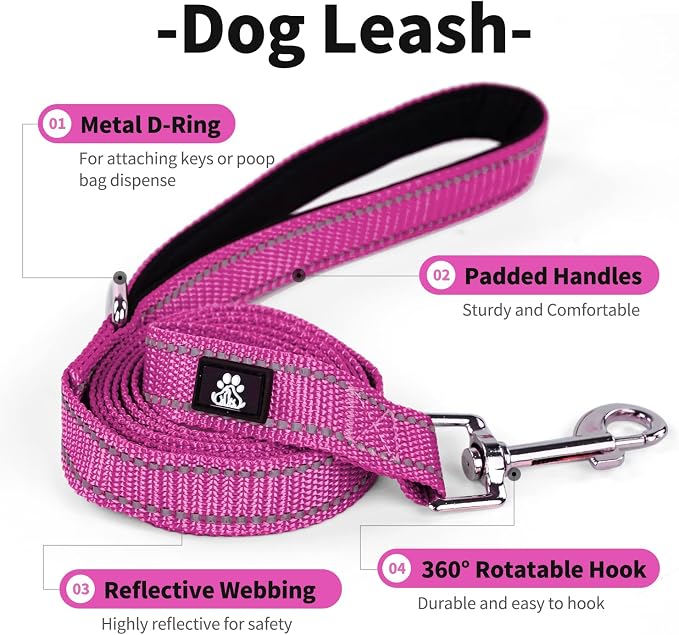 IVY&LANE 2 Pack Reflective Dog Collars and Leashs Set,Adjustable Neoprene Padded Dog Collar for Puppy, Breathable Nylon Pet Collar for Small Medium Large Dogs(Small,Purple+Fuchsia)