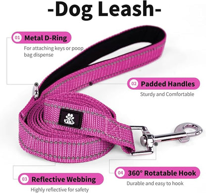 IVY&LANE 2 Pack Reflective Dog Collars and Leashs Set,Adjustable Neoprene Padded Dog Collar for Puppy, Breathable Nylon Pet Collar for Small Medium Large Dogs(Large,Fuchsia+Teal)