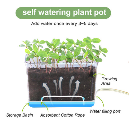Oliz Self Watering Planters - 4 Pack Rectangular Clear Plant Pots with Drainage Holes for Indoor Plants