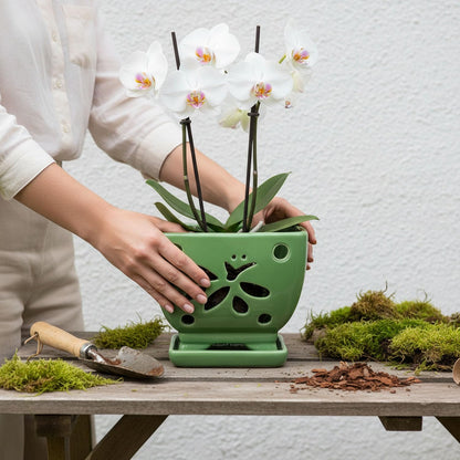 Grdthzey Orchid Pots with Holes Square Ceramic Orchid Planter Pots 5.5 inch (Green)
