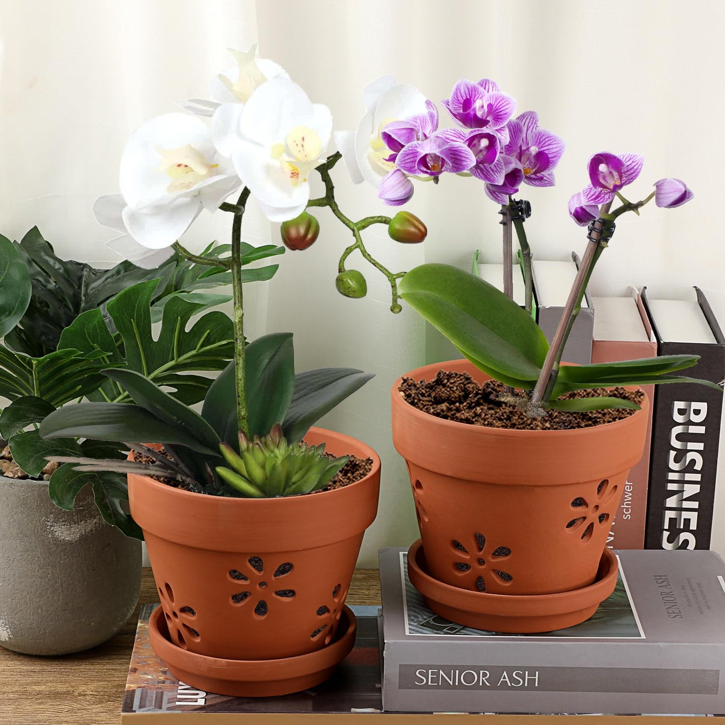 JUXYES Pack of 3 Small Terracotta Orchid Pot with Holes and Saucers, 6 Inches Clay Orchid Planter Pots for Repotting, Plant Flower Pots for Orchid Indoor and Outdoor Promotes Air Circulation